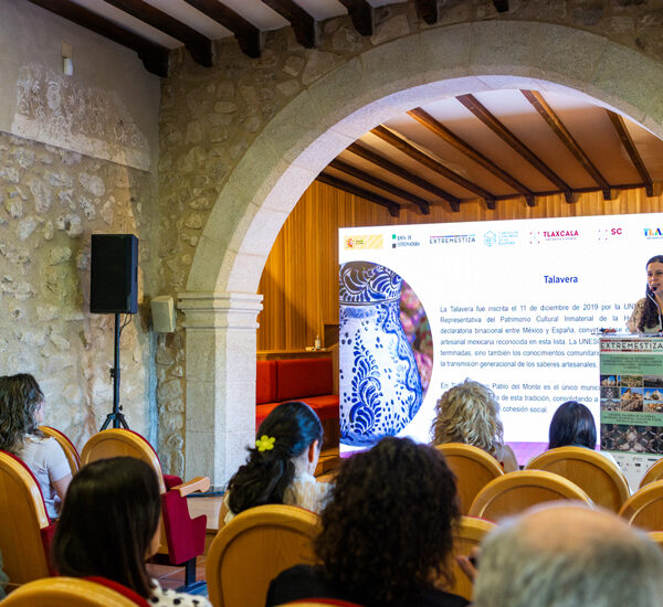 Woman giving a presentation on a stage with a large blue ceramic vase image on the screen behind her, in a stone-walled room with wooden beams and arched doorway.