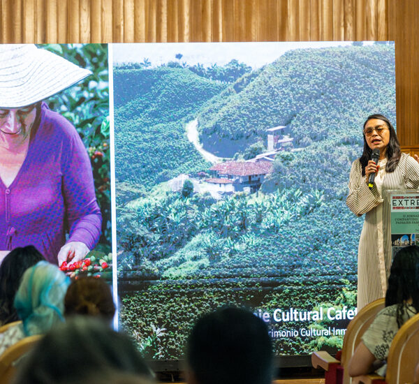 Speaker at a conference podium; large screen behind shows left panel of a woman in a hat picking fruit and a hillside village on the right.